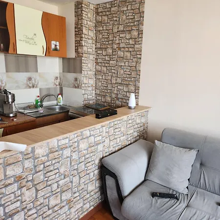 Mario Studio Apartment Constanta